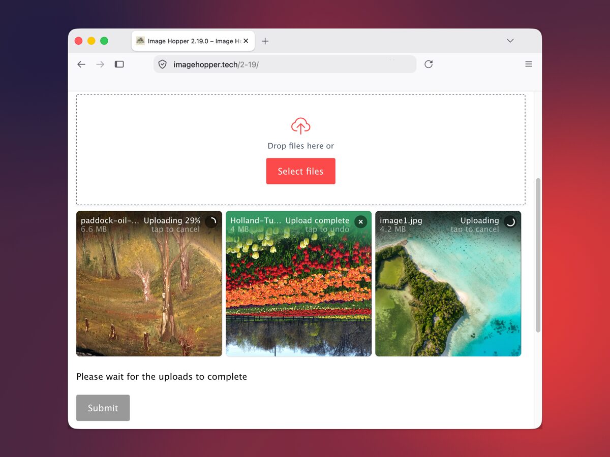 A form with an Image Hopper field. Three images are being uploaded. The submit button is disabled and a message shows Please wait for the upload to complete